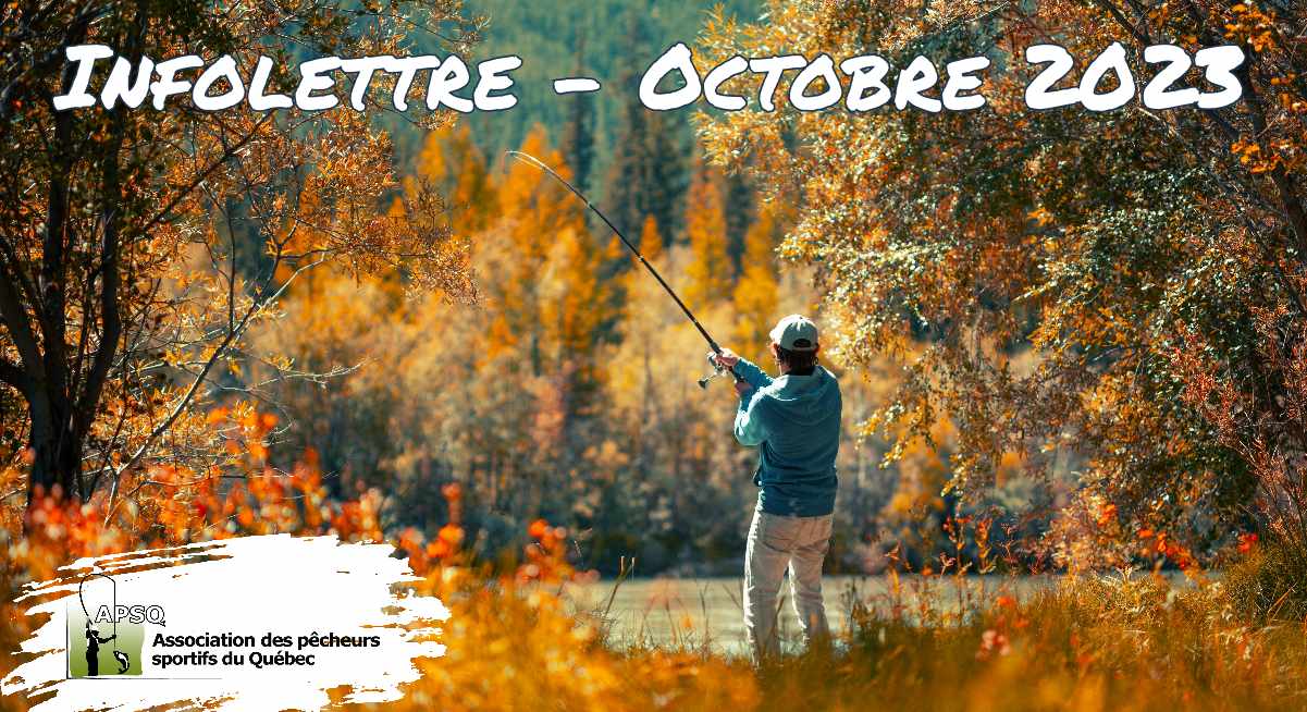 Infolettre de l'Association des Pêcheurs Sportifs du Québec- Octobre 2023