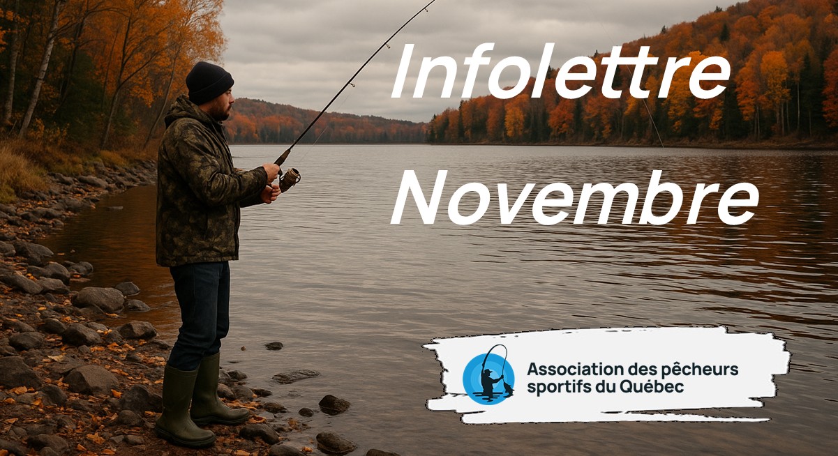 Infolettre Novembre 2025 - Association des Pêcheurs Sportifs du Québec.