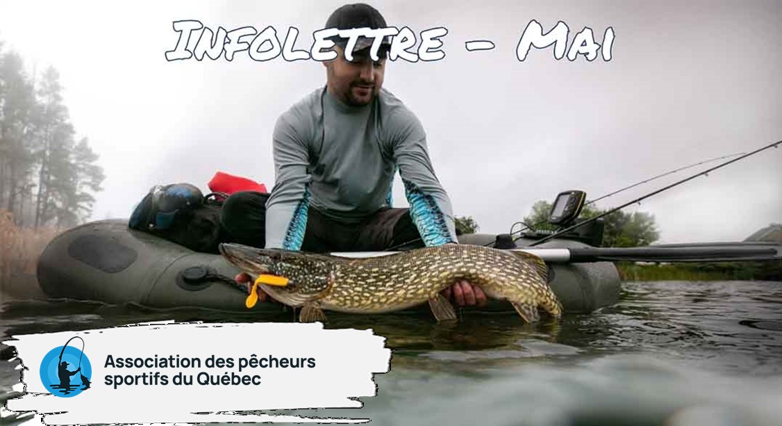 Infolettre de mai 2025 - Association des Pêcheurs Sportifs du Québec. 